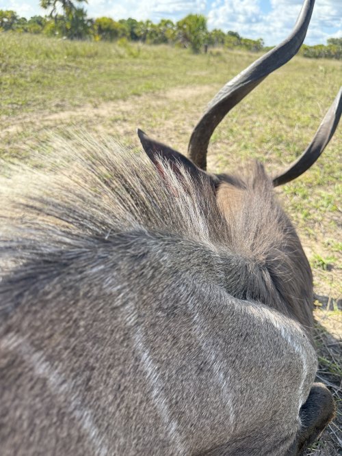 IMG_8202.jpeg IMG_8202.jpeg