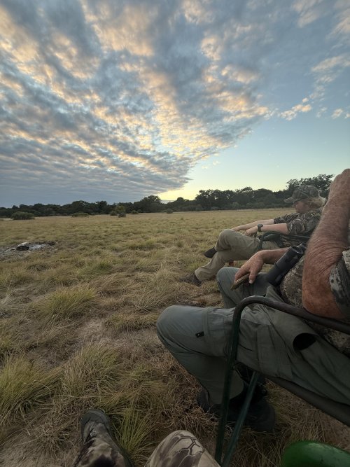 IMG_8307.jpeg IMG_8307.jpeg