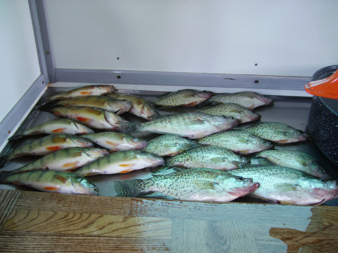 1755289452515.png 1755289452515.png