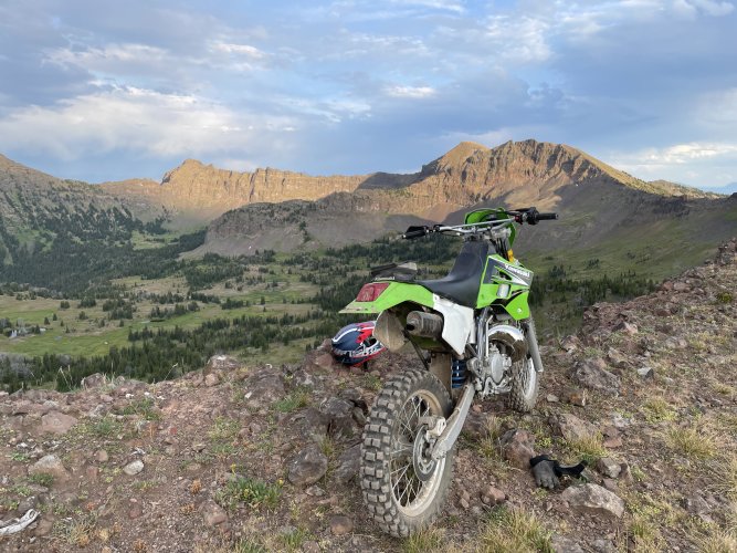 IMG_7528.jpeg IMG_7528.jpeg