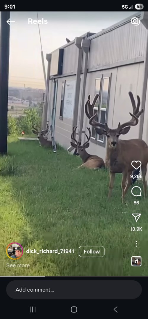 Screenshot_20250813_210121_Instagram.jpg Screenshot_20250813_210121_Instagram.jpg