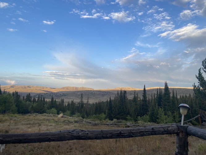 IMG_0732.jpeg IMG_0732.jpeg