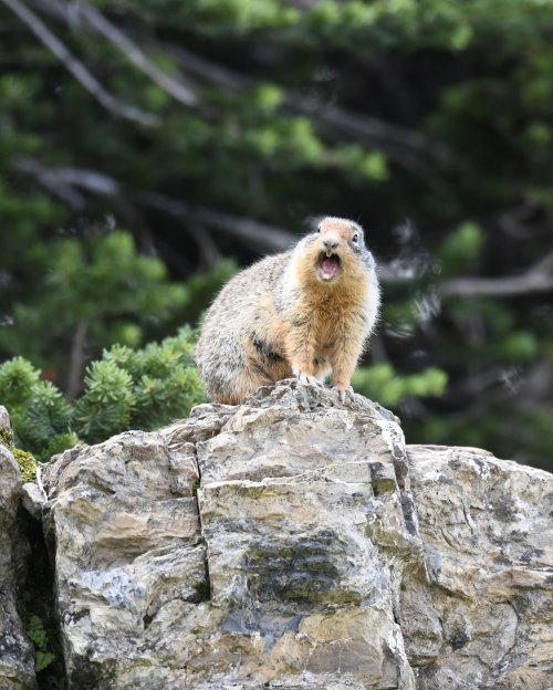 DSC_6835.jpeg DSC_6835.jpeg