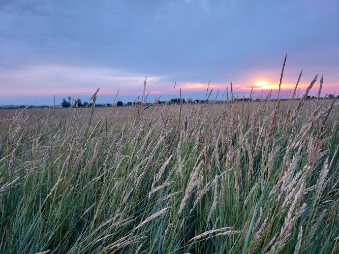 20250816_063925.jpg 20250816_063925.jpg
