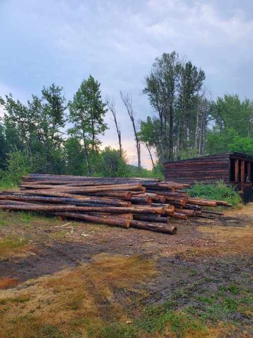 Winter Warmth.jpg Winter Warmth.jpg