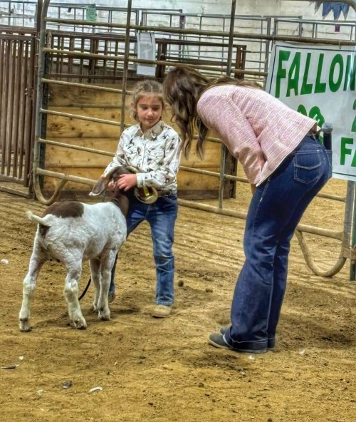 IMG_4579.jpeg IMG_4579.jpeg