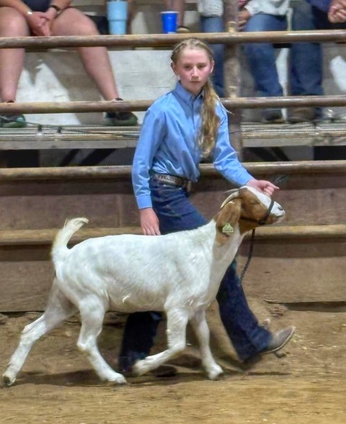 IMG_4581.jpeg IMG_4581.jpeg