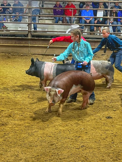 IMG_4584.jpeg IMG_4584.jpeg