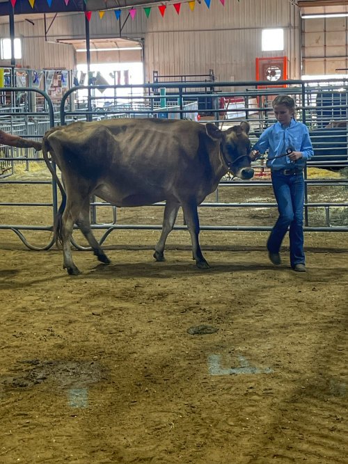 IMG_4593.jpeg IMG_4593.jpeg