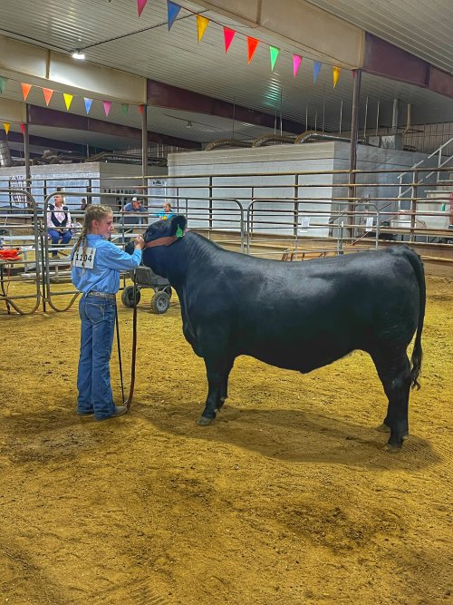 IMG_4594.jpeg IMG_4594.jpeg