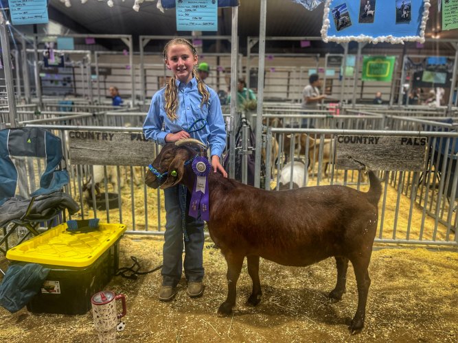 IMG_4569.jpeg IMG_4569.jpeg