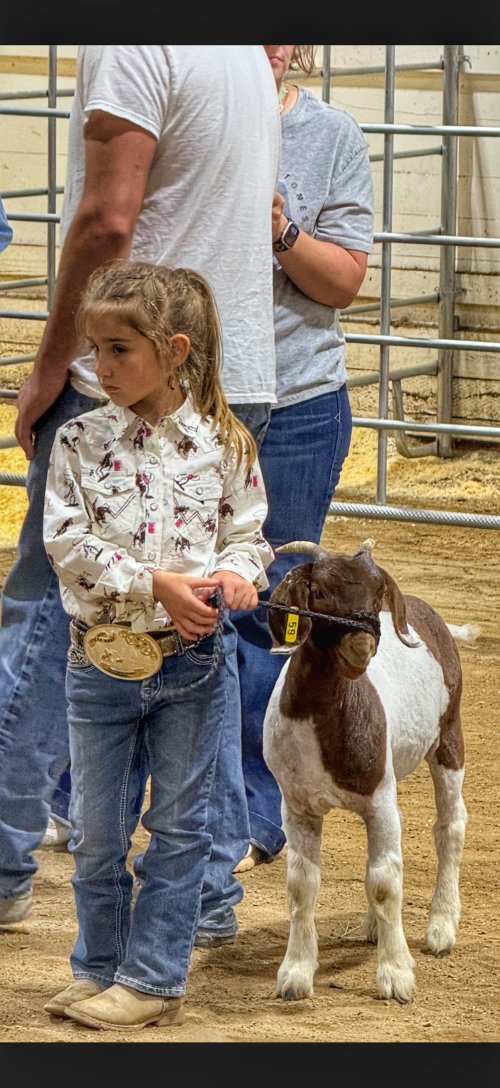 IMG_8786.jpeg IMG_8786.jpeg