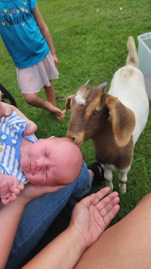 image000000(36).jpg image000000(36).jpg