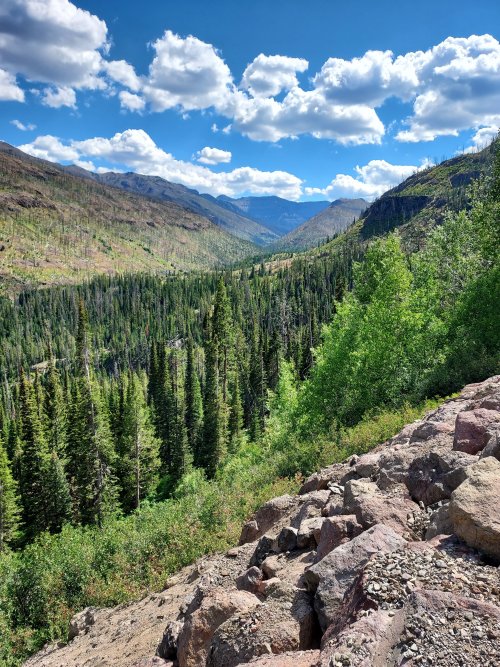 20250812_152308.jpg 20250812_152308.jpg