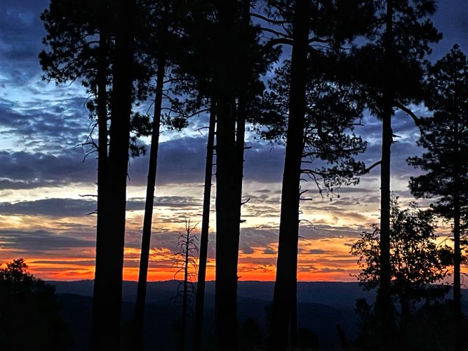 IMG_6276.jpeg IMG_6276.jpeg