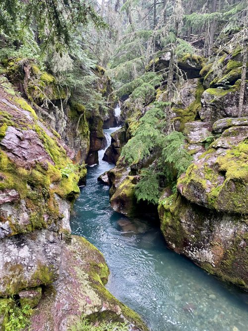 IMG_6439.jpeg IMG_6439.jpeg