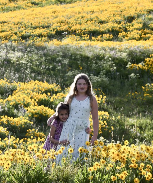 DSC_6596.jpeg DSC_6596.jpeg