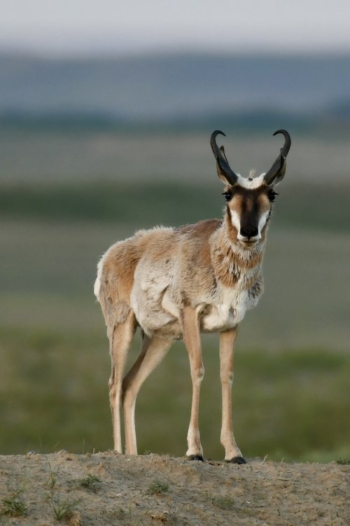 DSC_6507.jpeg DSC_6507.jpeg