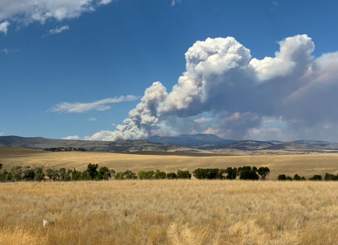 IMG_1660.jpeg IMG_1660.jpeg