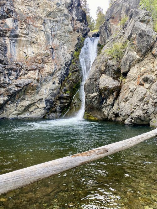 IMG_6585.jpeg IMG_6585.jpeg