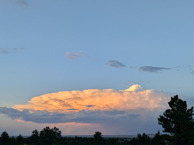 PXL_20250817_015529910.jpg PXL_20250817_015529910.jpg