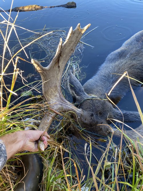 tempImageE6VhgD.jpg tempImageE6VhgD.jpg