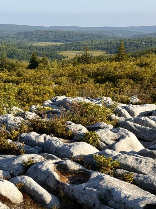 IMG_4002.jpeg IMG_4002.jpeg