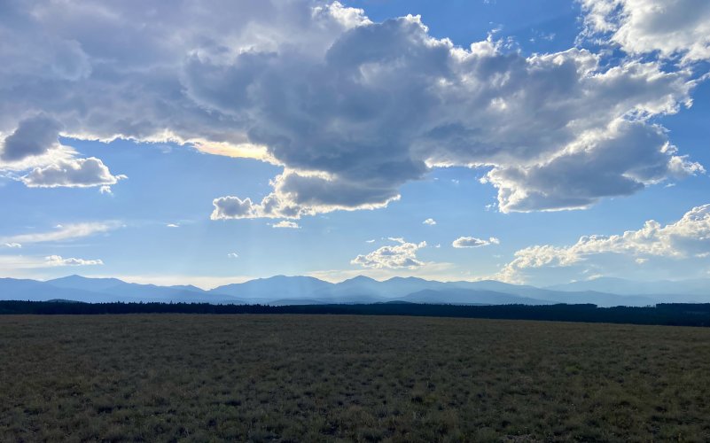 IMG_3924.jpeg IMG_3924.jpeg