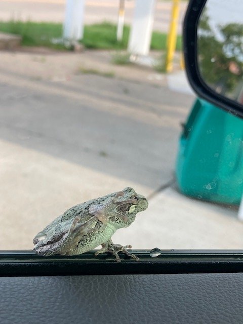 IMG_5131.jpg IMG_5131.jpg