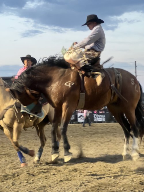 IMG_2908.jpeg IMG_2908.jpeg