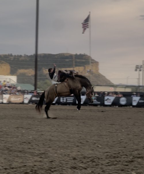 IMG_2916.jpeg IMG_2916.jpeg