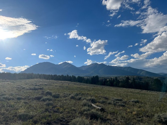 IMG_2092.jpeg IMG_2092.jpeg