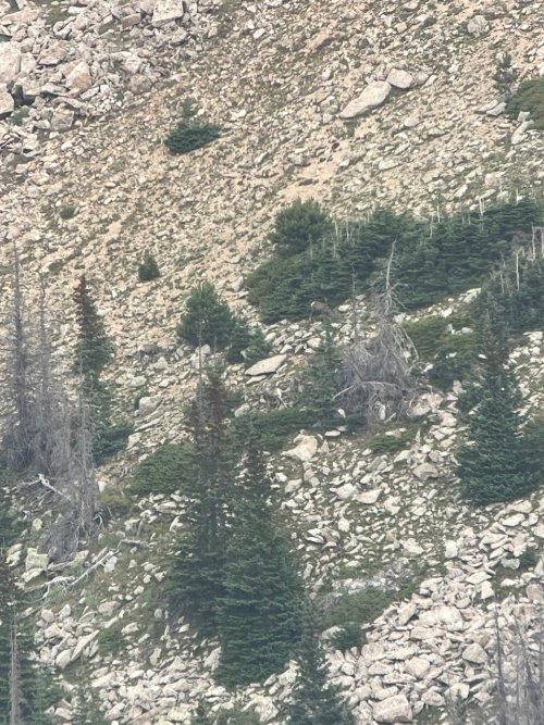 IMG_2082.jpeg IMG_2082.jpeg