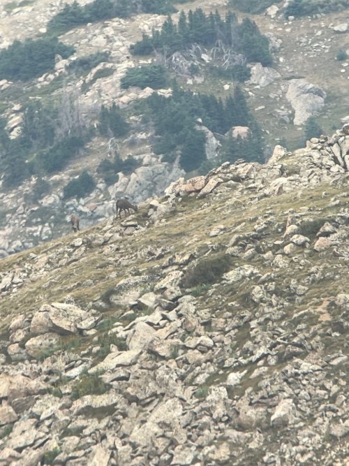 IMG_2068.jpeg IMG_2068.jpeg