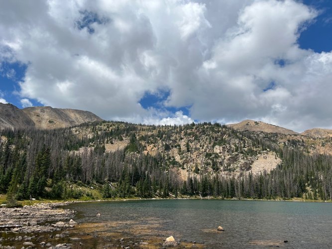 IMG_2087.jpeg IMG_2087.jpeg