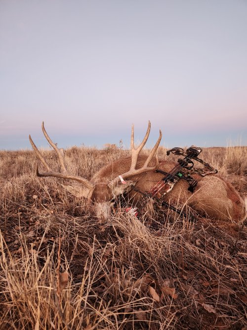 20240113_171832.jpg 20240113_171832.jpg