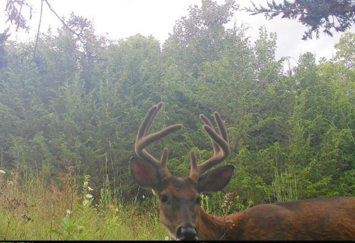 Screenshot 2025-08-18 at 4.59.09 PM.jpeg