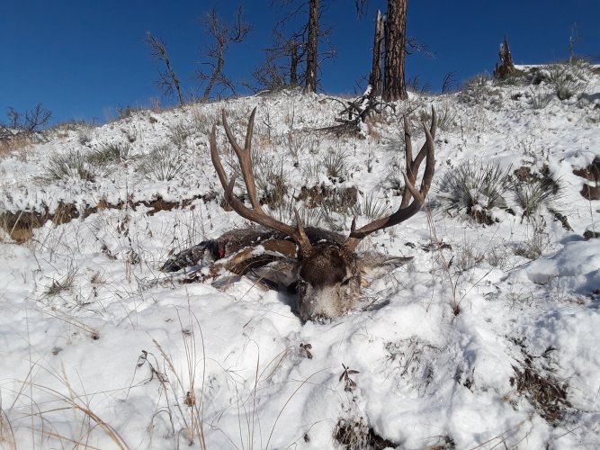 20191111_113738.jpg 20191111_113738.jpg