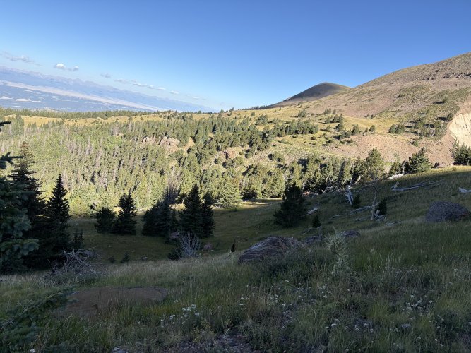 IMG_2112.jpeg IMG_2112.jpeg