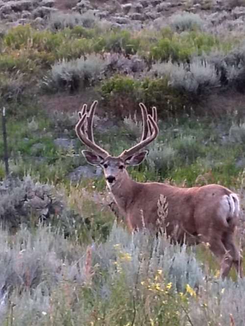 IMG_20250812_201655514_HDR.jpg IMG_20250812_201655514_HDR.jpg