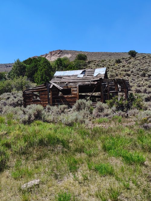 IMG_20250813_122412727_HDR.jpg IMG_20250813_122412727_HDR.jpg