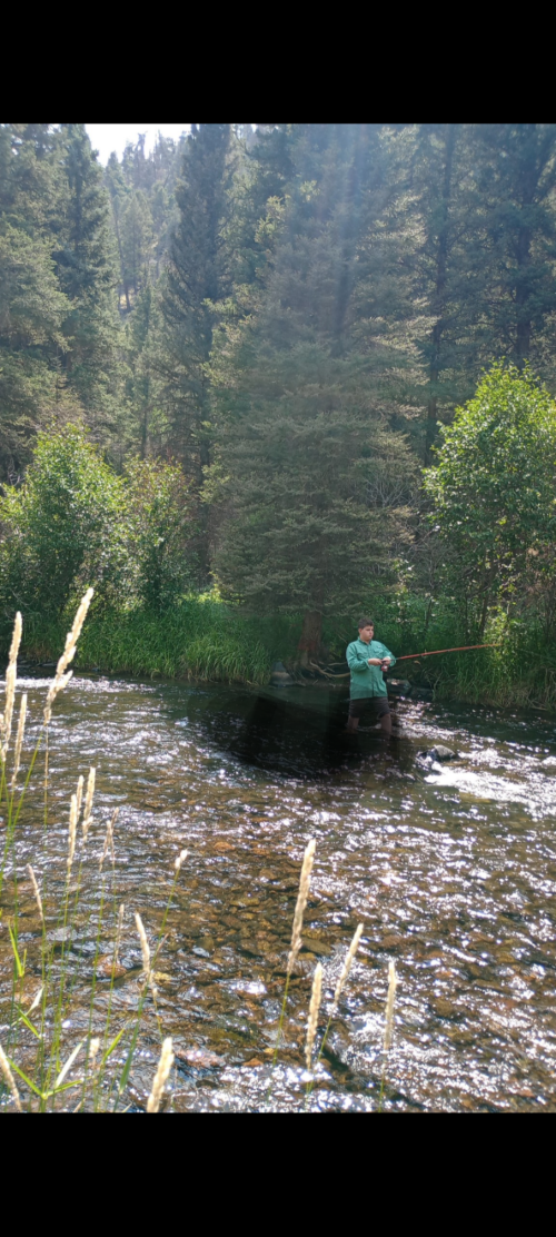 Screenshot_20250819-150300_Photos.png Screenshot_20250819-150300_Photos.png