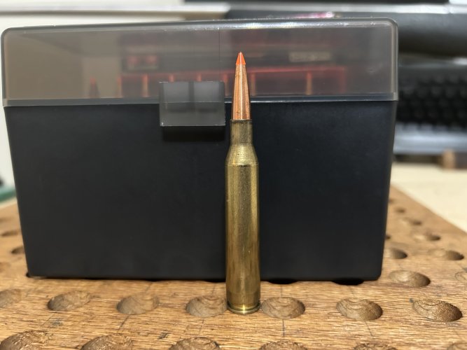 IMG_2909.jpeg IMG_2909.jpeg