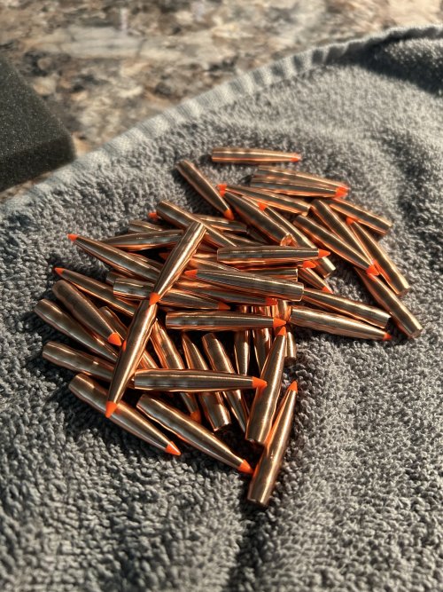 IMG_2752.jpeg IMG_2752.jpeg