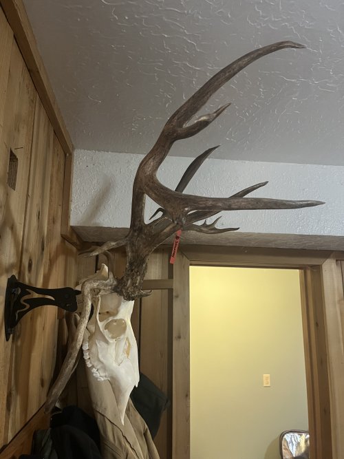 IMG_5961.jpeg IMG_5961.jpeg