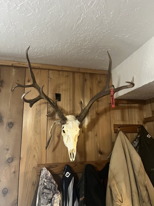 IMG_5960.jpeg IMG_5960.jpeg