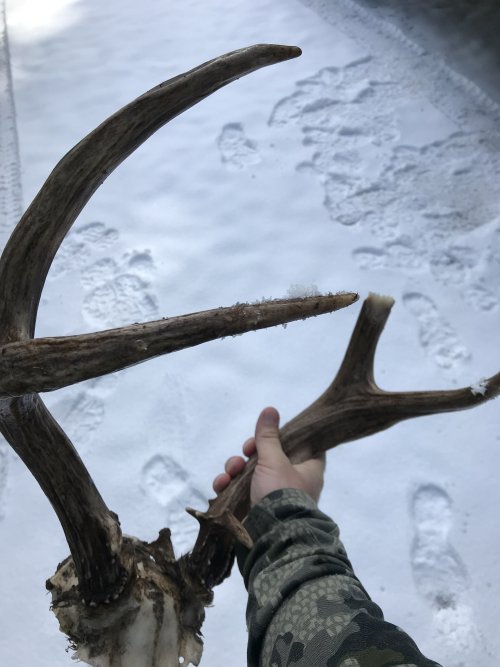 IMG_0592.jpeg IMG_0592.jpeg