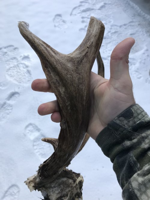 IMG_0591.jpeg IMG_0591.jpeg