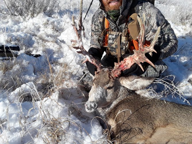 20191111_105407.jpg 20191111_105407.jpg