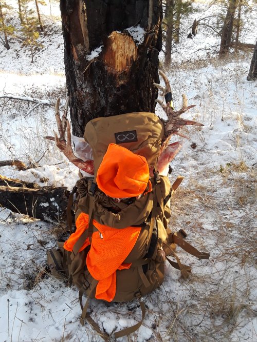 20191112_082547.jpg 20191112_082547.jpg